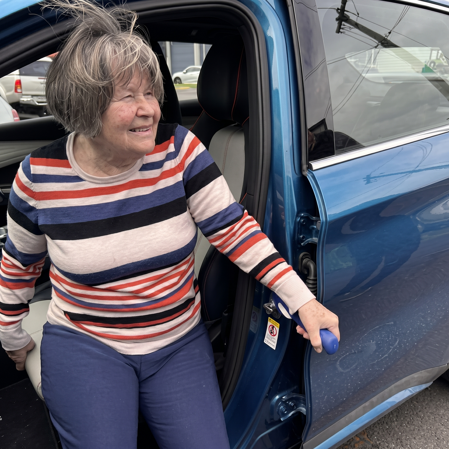 Car Door Assist Handle